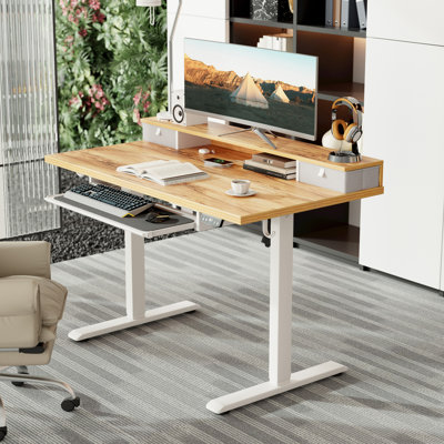 55 Inch Electric Standing Desk with 2 Drawers & Keyboard Tray, Adjustable Home Office Desk Ergonomic Sit to Stand Computer Desk with Hooks for Gaming & Work,Rustic Brown