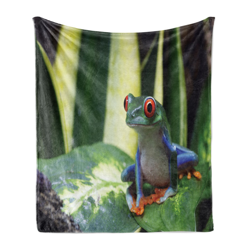 Hand Woven Throw Blanket, 50" W x 70" L