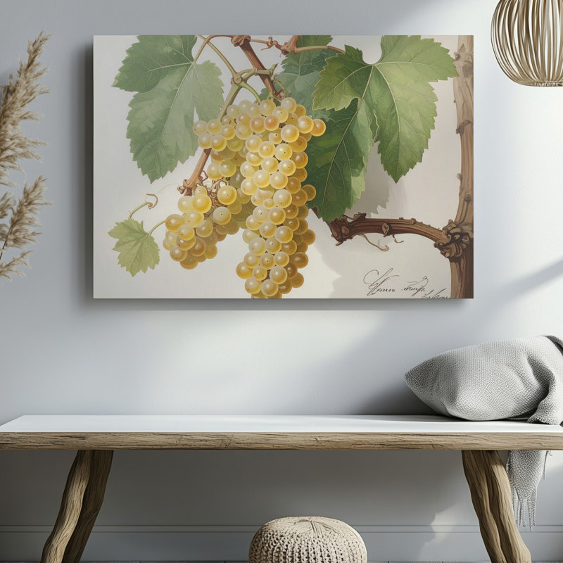 Art botanique sur toile, raisin blanc, H 9 po x l 12 po