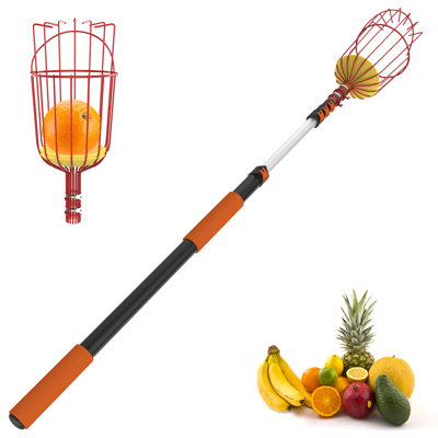 20FT Fruit Picker, Apple Picker Pole with Basket Telescoping Tool for Apple Lemon Orange Mango Avocado Fruit Tree Picking