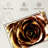 Gold Painted Rose