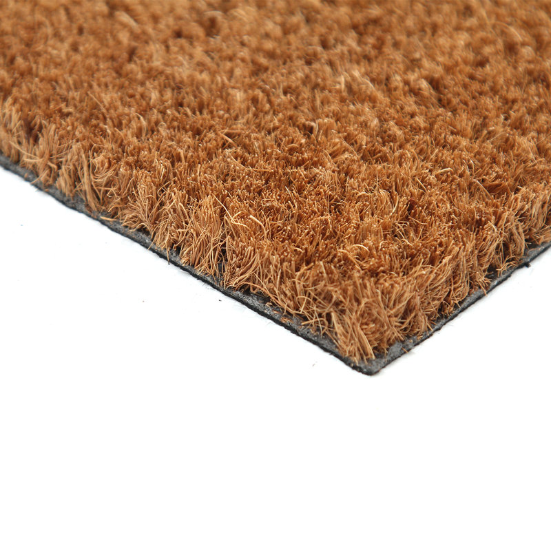 Pigott Indoor / Outdoor Doormat