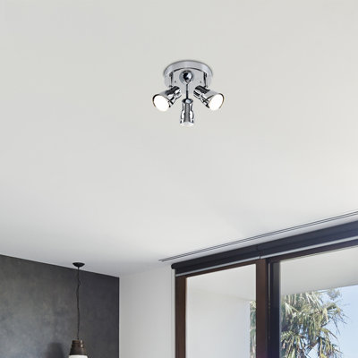 Faustina Spotlight