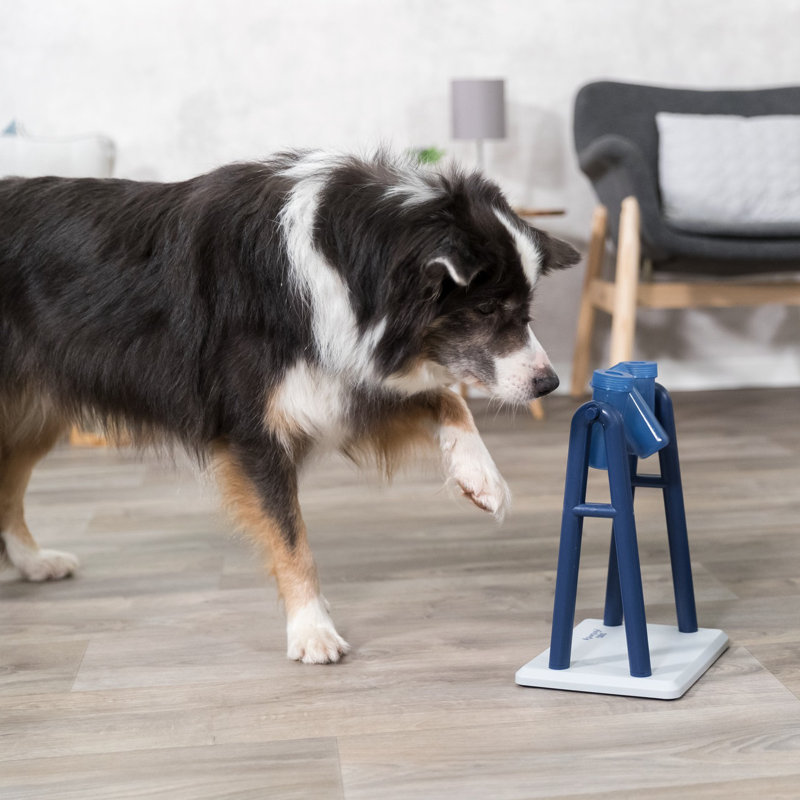 TRIXIE Mad Scientist Turn Around Strategy Game, Intermediate Dog Puzzle Toy, Level 2 Activity