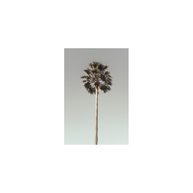 Wrapped Canvas Print, 76.2cm H x 50.8cm W