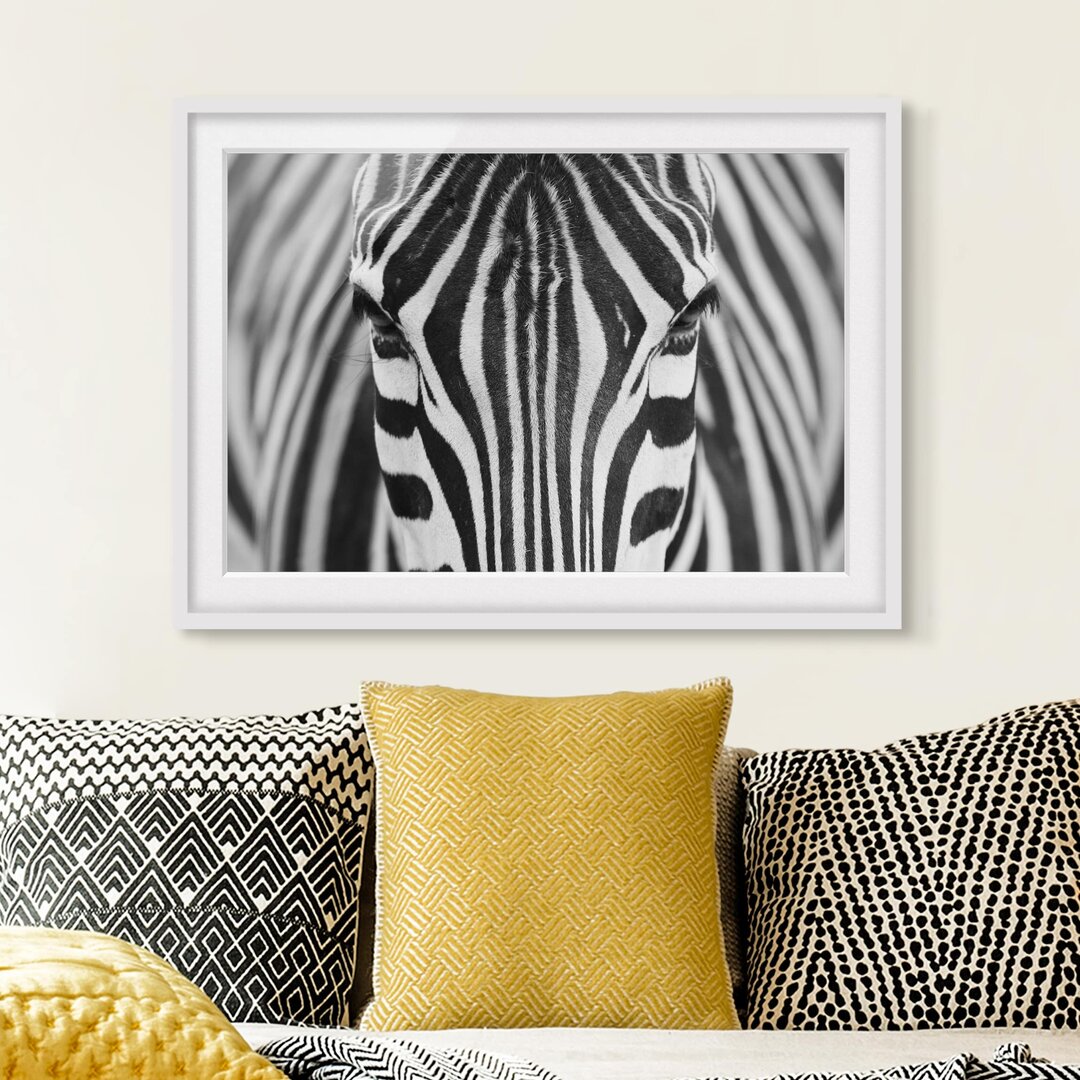 Gerahmtes Poster Zebra Look