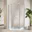 38" W x 38" D x 72" H Semi-Frameless Neo-angle Shower Door with Towel Bar and Fixed Panel-93688749-114498930