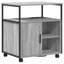 Storage Cabinet-1984504644