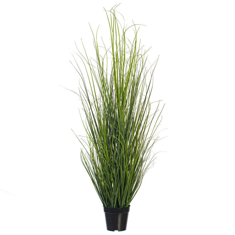  Herbe pour cheveux 48 po, 48"