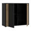 Shinee Standard Accent Cabinet-661457413-661457412
