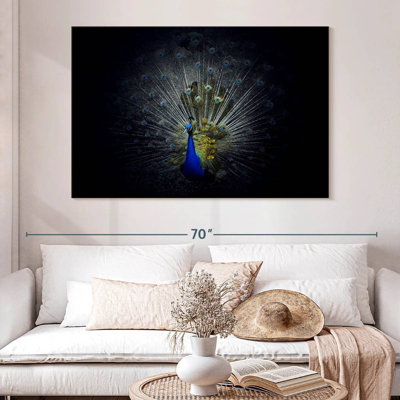 Crowle Flaunting Peacock Feathers