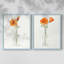 Vase californien I-Premium, impression encadrée prête à accrocher - aucun clou requis - aucun clou requis-482366424-482366427