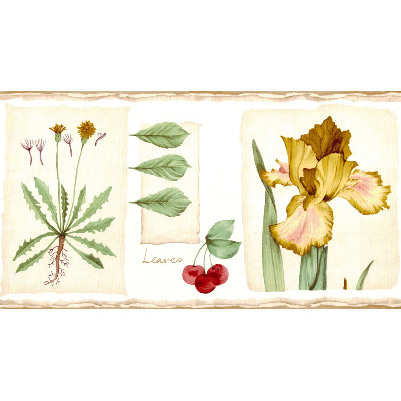 Abrea Floral Border