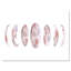 Phases de lune - Impression sur toile-59283292-59366142