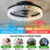 Ceiling Fans With Lights Remote Control, Modern Lighting Fan Ceiling Light LED