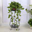 Support pour plante Costanzo-454125258