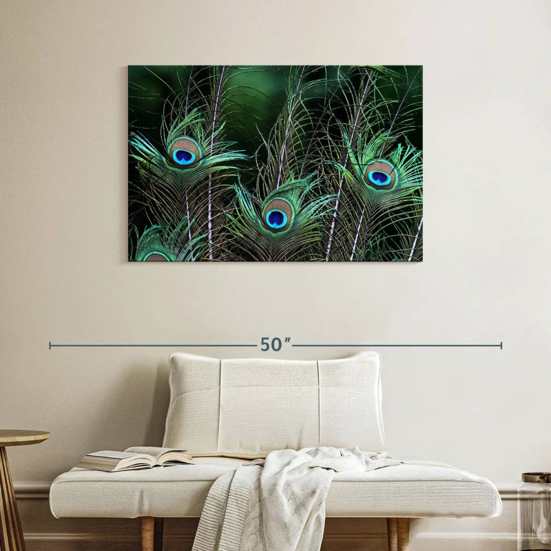 Ornate Peacock Feathers, 26" H x 39" W
