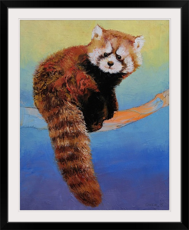 «Anjlee Red Panda» par Michael Creese, reproduction d'art, Cadre noir, H 38 po x l 32 po x P 1 po