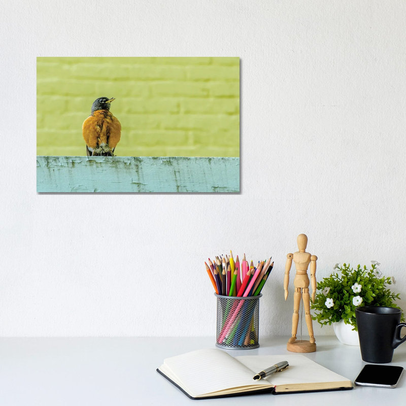 Posing Robin by David Gardiner - Wrapped Canvas Print, 20.32cm H x 30.48cm W