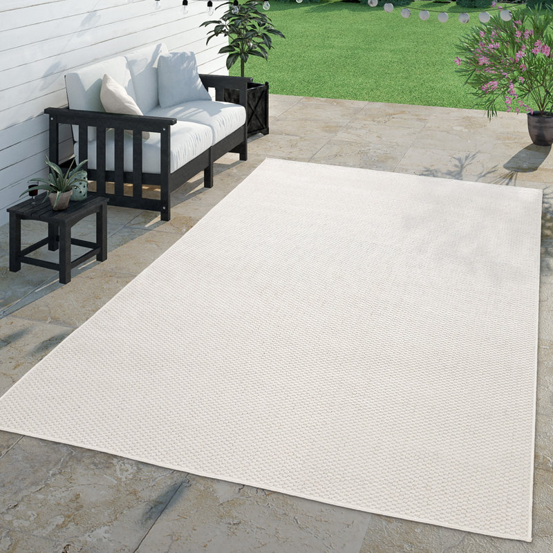 Iyana Machine Woven Indoor/Outdoor Area Rug , Rectangle 5'3" x 7'3"