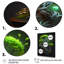 «Bonsai Swirl Tree Neon II», reproduction sur toile-86829151-86829156