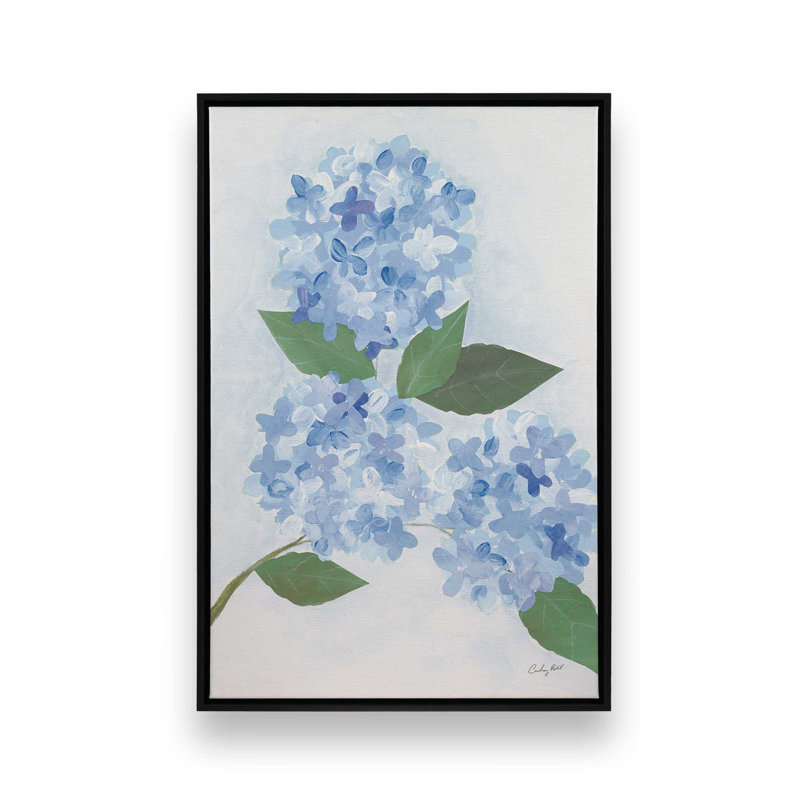 Reproduction d'art «Providence Hydrangea II» par Courtney Prahl, H 16 po x l 12 po, Cadre flottant, Noir