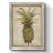 " Pineapple Study "-19336813