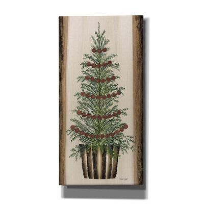 " Woodland Spruce Tree " by Cindy Jacobs Painting Print