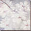 «Cherry Blossoms I», reproduction de peinture acrylique sur toile-29422515-29608970