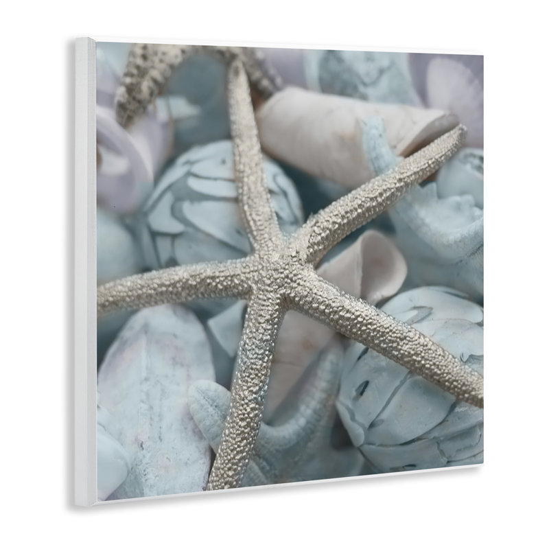 Art mural étoile de mer et coquillages variés par Susan Bryant