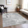 Machine Washable Indoor/Outdoor Christain ACN1339 Gray Rug