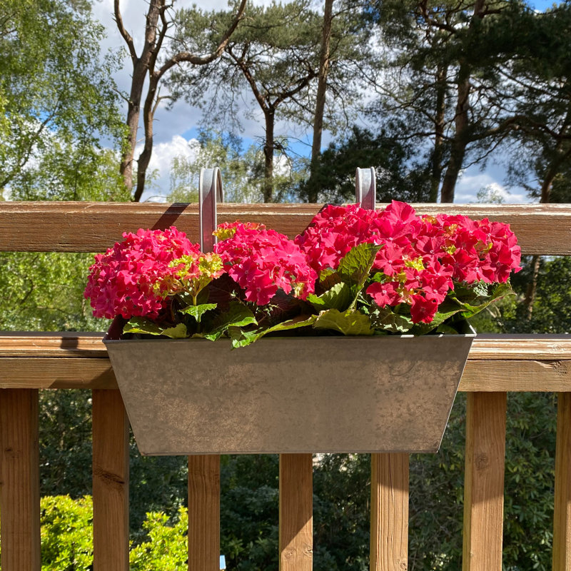 Andropolis Metal Railing Planter, Zinc