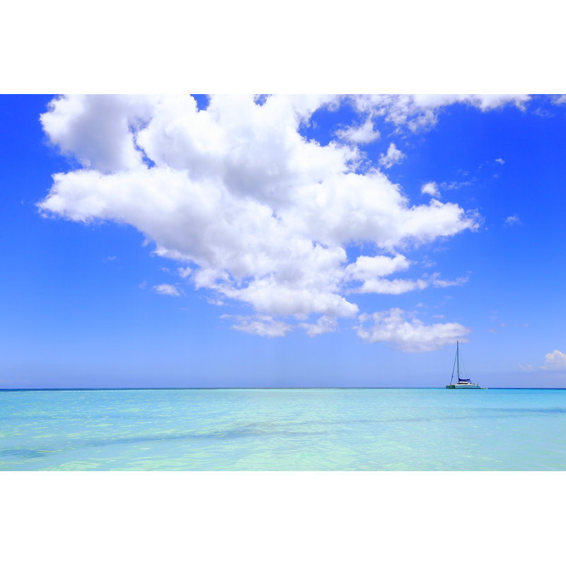 Tropical Paradise by Agustavop - Wrapped Canvas Print, 61cm H x 91cm W
