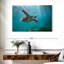 Tortue de mer Brampt Martinique-108698826