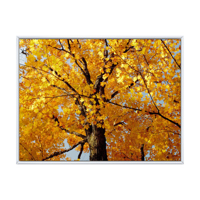 Automne érable - reproduction sur toile