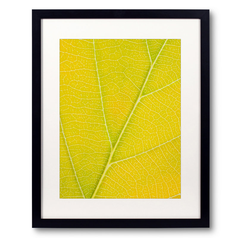 Autumn Leaf Print by Philippe Monthoux, Black Framed Paper, Yellow, 32" H x 24" W
