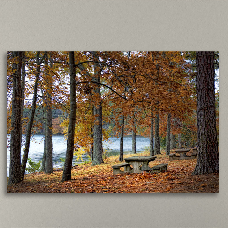 No Picnic by Dano - Wrapped Canvas Print, 81cm H x 122cm W x 4cm D