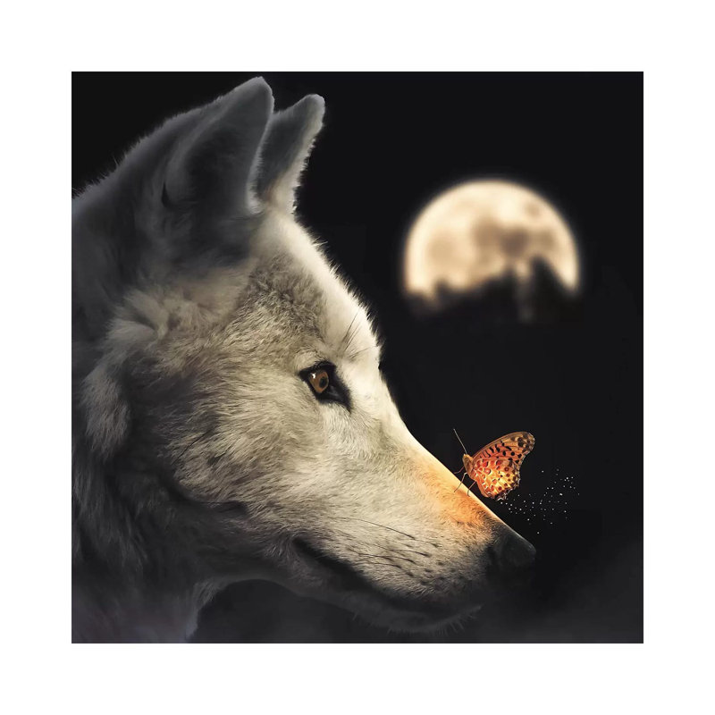 «The Wolf & Glowing Butterfly» par Zenja Gammer - reproduction de photo, H 26 po x l 26 po x P 1,5 po, Toile tendue