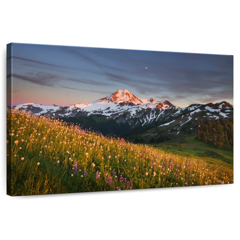 Alvord Baker Mountain View, H 16 po x l 24 po