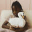 Cushion Swan