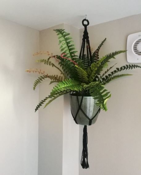 60cm Faux Plant in Pot Liner, 60 cm x 60 cm
