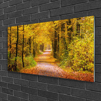 Nature Forest - No Frame Print on Glass