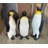 King Penguin Statue