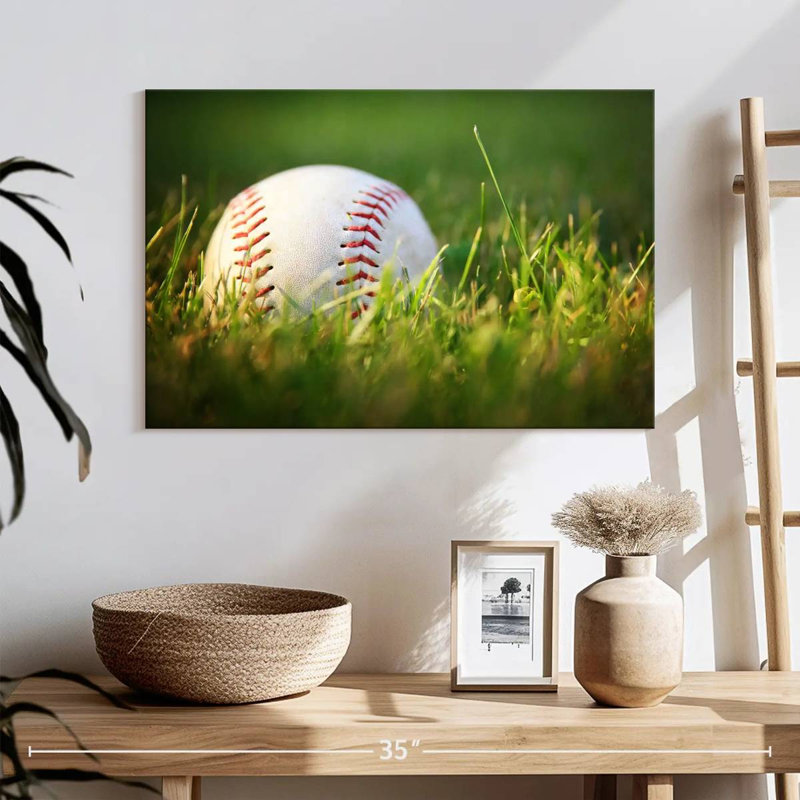 Ground baseball Sireci, H 16 po x l 24 po