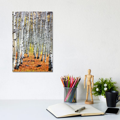 Autumn In Aspen - Wrapped Canvas Print