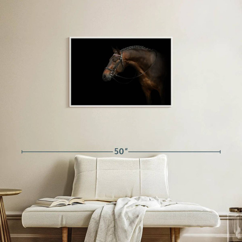 Bridled Dark Brown Horse, Floating Frame White, 31" X 21"
