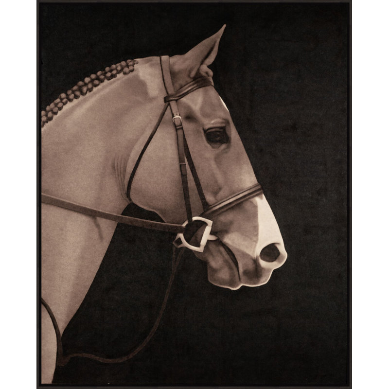 Mustang Muse 1 Print by Studio L57 Narrative, 41.16" H x 33.16" W