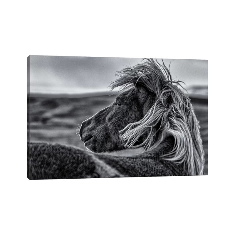 Glance Back by Sunny Ding - Print on Canvas, Wrapped Canvas, 66.04cm H x 101.6cm W x 3.81cm D