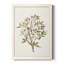 «Twig Study II», reproduction d'art sur toile-263558139-263558141