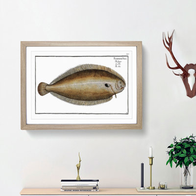 Sole Fish by M.E. Bloch - Picture Frame Painting Print